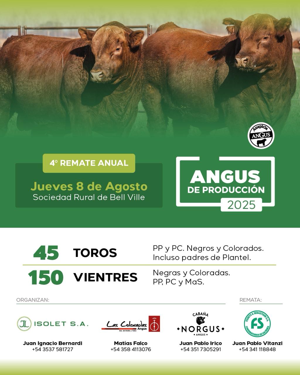 Imagen de Isolet "Angus de Produccion"
